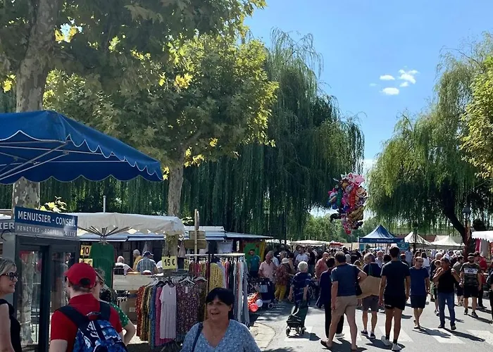 Le Manoir Aux Volets Verts With Hot Tub 3* Salerm