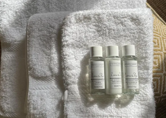 Le Manoir Aux Volets Verts With Hot Tub 3* Salerm